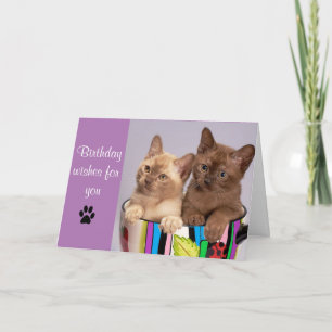 Carte de vœux d'anniversaire avec un chat mignon