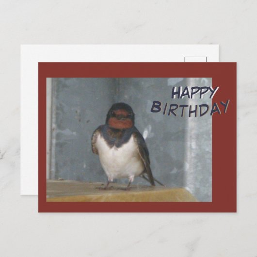 Carte de vœux d'anniversaire avec une jolie hirond (Devant / Derrière)