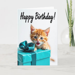 Carte de vœux d'anniversaire Boîte cadeau de chato