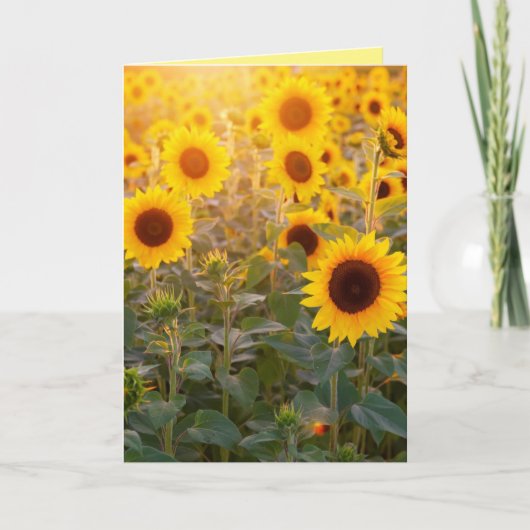 CARTE DE VŒUX D'ANNIVERSAIRE CHAMP DE TOURNESOLS (Devant)