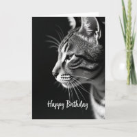 Carte de vœux d'anniversaire chat gracieux chaud