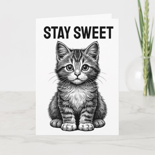 CARTE DE VOEUX D'ANNIVERSAIRE CHAT MIGNON (Devant)