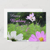 Carte de vœux d'anniversaire Cosmea, champ de fleu (Devant / Derrière)