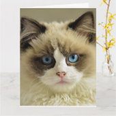 Carte de voeux d'anniversaire CUTE CAT PERSIAN (Fleur jaune)