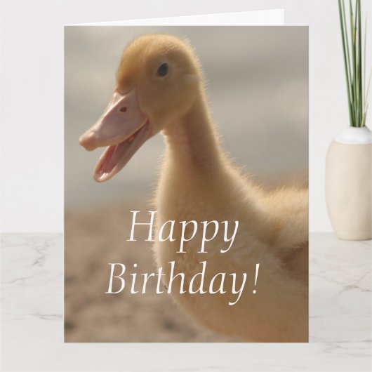 Carte de voeux d'anniversaire de canard de bébé (Devant)