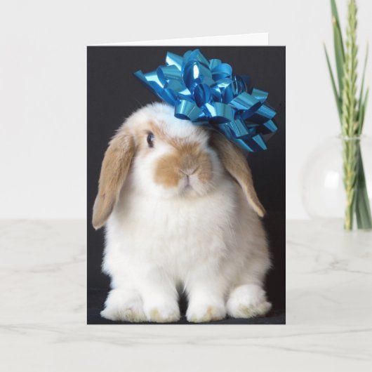 Carte de voeux d'anniversaire de lapin (Devant)