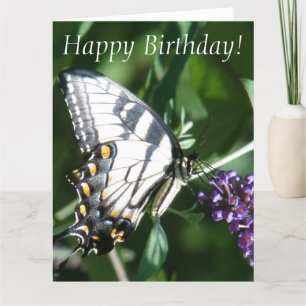 Carte de voeux d'anniversaire de papillon grande