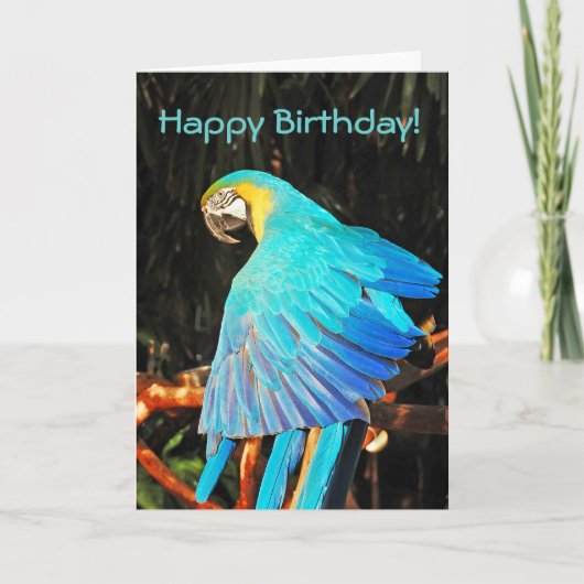 Carte de voeux d'anniversaire de perroquet macaw b (Devant)