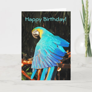 Carte de voeux d'anniversaire de perroquet macaw b