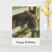 Carte de voeux d'anniversaire Donkey (Fleur jaune)