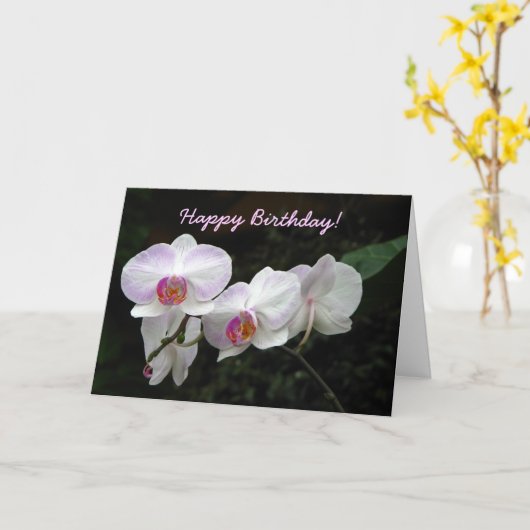 Carte de voeux d'anniversaire d'orchidée (Fleur jaune)