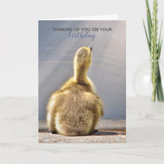 Carte de voeux d'anniversaire ensoleillée (Devant)