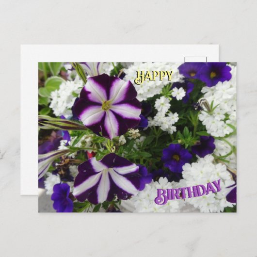 Carte de voeux d'anniversaire Fleurs Blanches Bleu (Devant / Derrière)