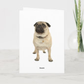 Carte de voeux d'anniversaire joyeux Carlin Chien  (Dos)