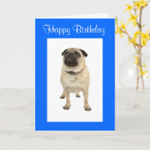 Carte de voeux d'anniversaire joyeux Carlin Chien  (Fleur jaune)