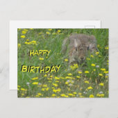 Carte de vœux d'anniversaire Lapin dans un champ d (Devant / Derrière)