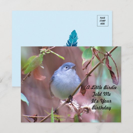 Carte de vœux d'anniversaire Little Birdie (Devant / Derrière)