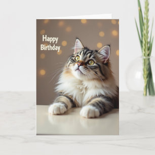 Carte de vœux d'anniversaire pour chat dodu