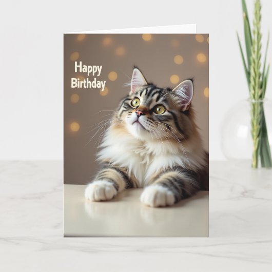 Carte de vœux d'anniversaire pour chat dodu (Devant)