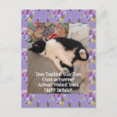 Carte de vœux d'anniversaire pour chat élégant Tux (Devant)
