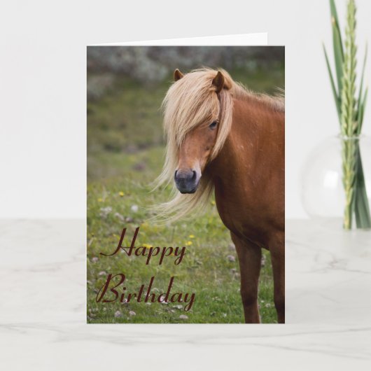 Carte de voeux d'anniversaire pour les chevaux isl (Devant)