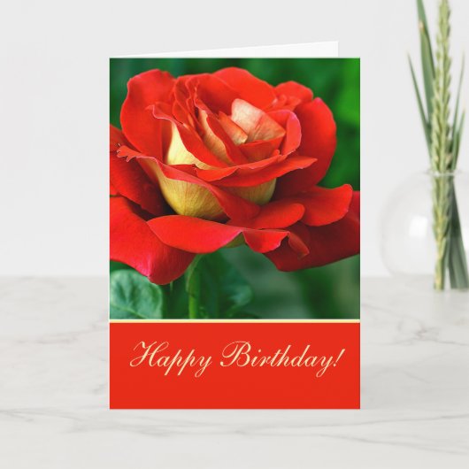 Carte de vœux d'anniversaire Rose Rouge (Devant)