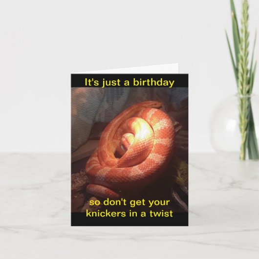 Carte de vœux d'anniversaire serpent aux knickers  (Devant)