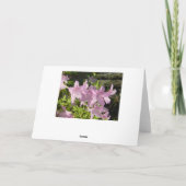 Carte de vœux d'après-midi azalée (Dos)