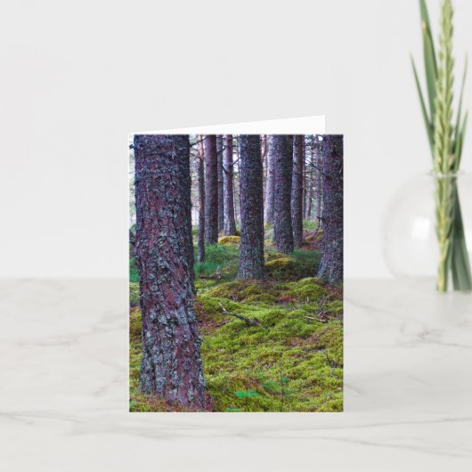 Carte de vœux d'arbres de bois (Devant)