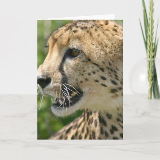 Carte de voeux d'attaque de Cheetah (Devant)