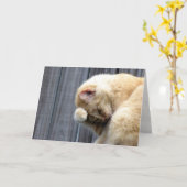 Carte de voeux de beauté (Fleur jaune)