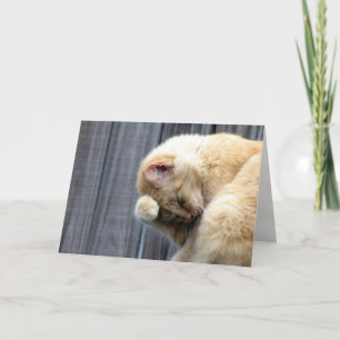 Carte de voeux de beauté