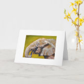 Carte de voeux de beaux-arts d'éléphant (Fleur jaune)