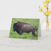 Carte de voeux de Bison Buffalo Wildlife (Fleur jaune)