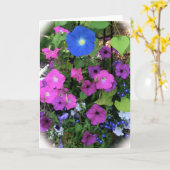 Carte de voeux de blanc de gloire de matin (Fleur jaune)