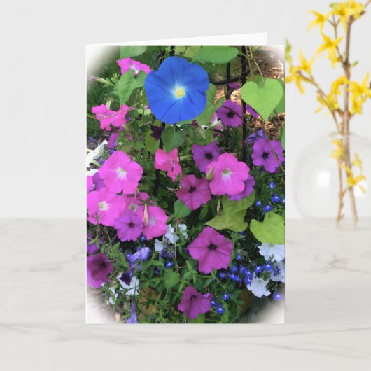 Carte de voeux de blanc de gloire de matin (Fleur jaune)