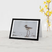 Carte de voeux de blanc de Killdeer de bébé (Fleur jaune)