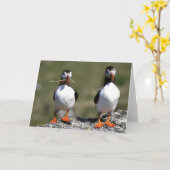 Carte de voeux de blanc de paires de macareux (Fleur jaune)