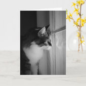 Carte de voeux de blanc de réflexion de chat (Fleur jaune)