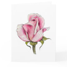 Carte de voeux de blanc de rose d'aquarelle