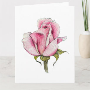 Carte de voeux de blanc de rose d'aquarelle