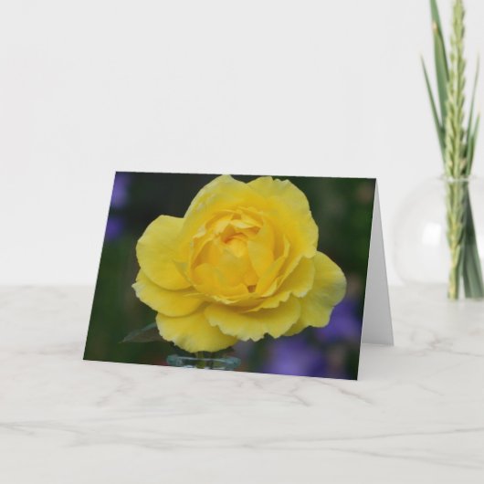 Carte de voeux de blanc de rose jaune (Devant)