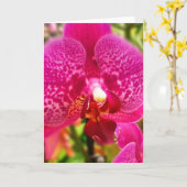 Carte de voeux de blanc d'orchidée de Phalenopsis (Fleur jaune)