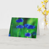 Carte de voeux de bleuets (Fleur jaune)