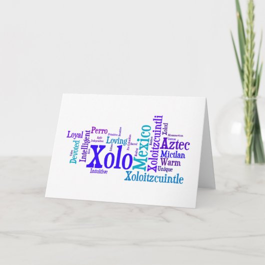 Carte de voeux de bleus de Xolo (Devant)