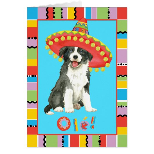 Carte de voeux de border collie de fiesta (Devant)
