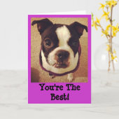 Carte de voeux de Boston Terrier (Fleur jaune)