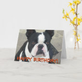 Carte de voeux de Boston Terrier (Fleur jaune)