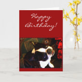 Carte de voeux de Boston Terrier de joyeux (Fleur jaune)