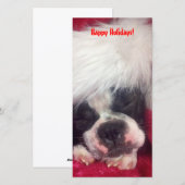 Carte de vœux de Boston Terrier Joyeux Noël (Devant / Derrière)